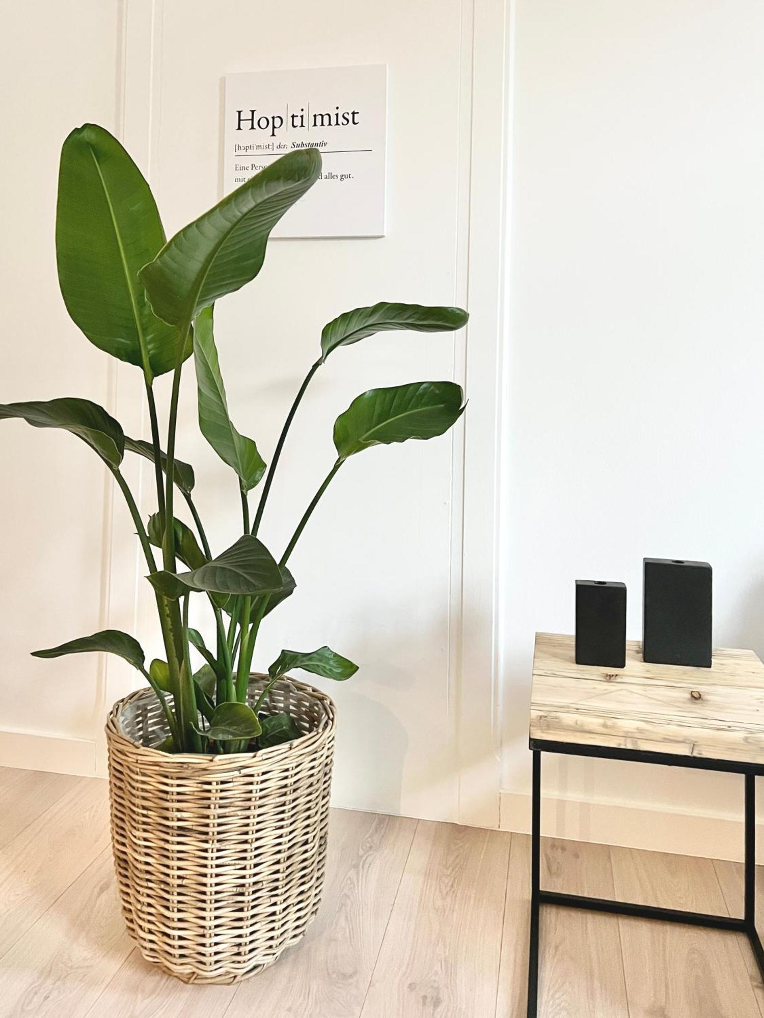 Makers And Rooms Apartment 01 Pauline 110Qm Parkplatz 1-4 Personen Detmold Zewnętrze zdjęcie